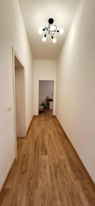 Faby & Fra Apartments Livorno Exterior photo